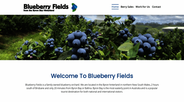 blueberryfields.com.au