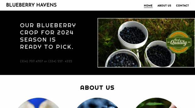 blueberryhavens.com