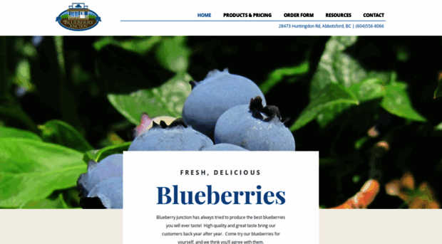 blueberryjunction.ca