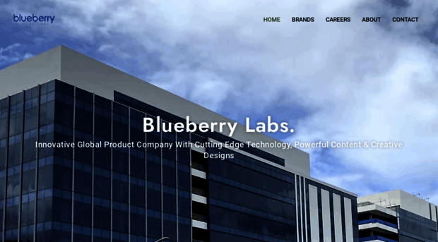 blueberrylabs.com