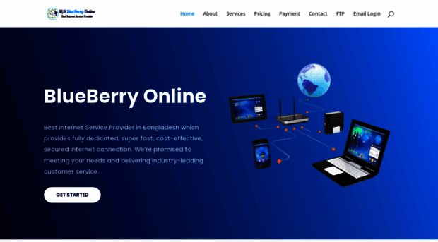 blueberryonlinebd.com
