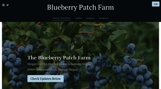 blueberrypatchfarm.com