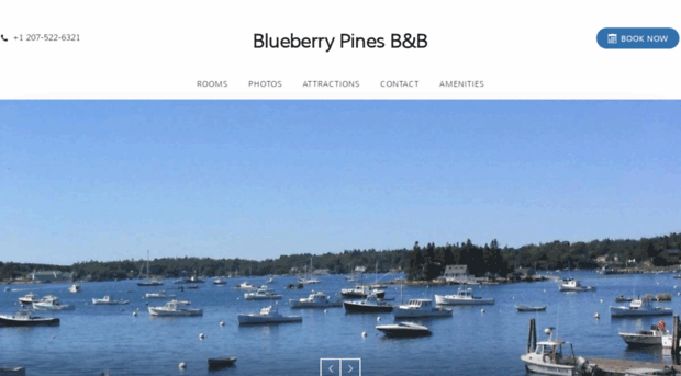 blueberrypinesbedbreakfast.com