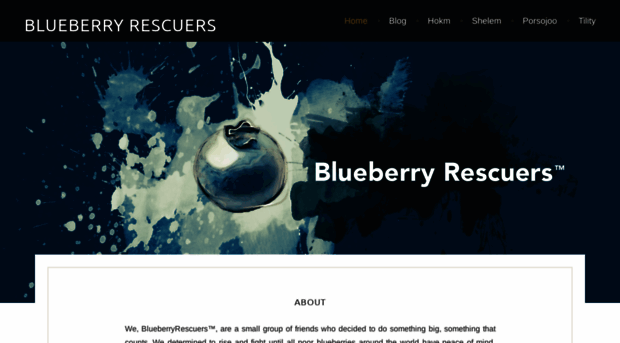 blueberryrescuers.com