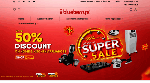 blueberrysindia.com