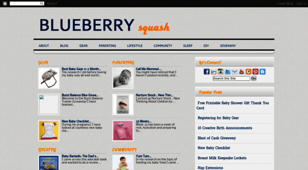 blueberrysquash.blogspot.com