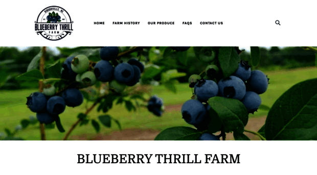 blueberrythrillfarm.com