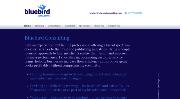 bluebird-consulting.com