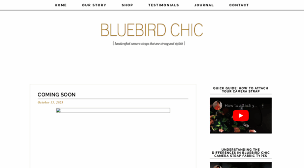 bluebirdchic.com