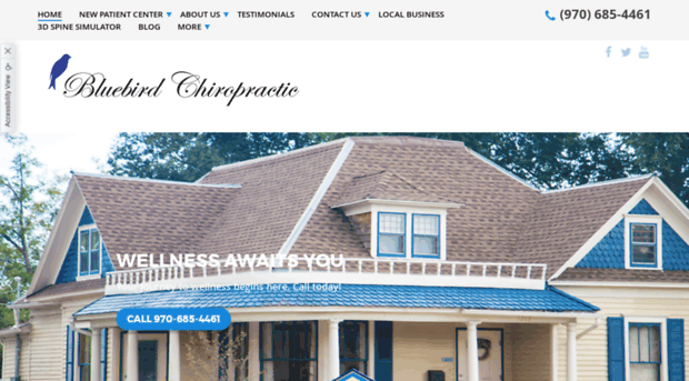 bluebirdchiropractic.com