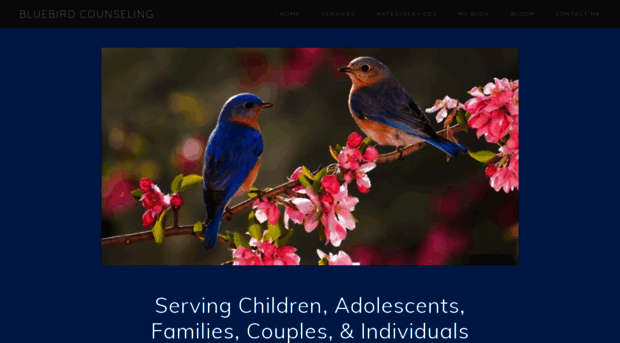 bluebirdcounseling.com