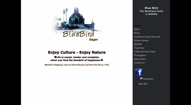 bluebirdhotelbagan.com