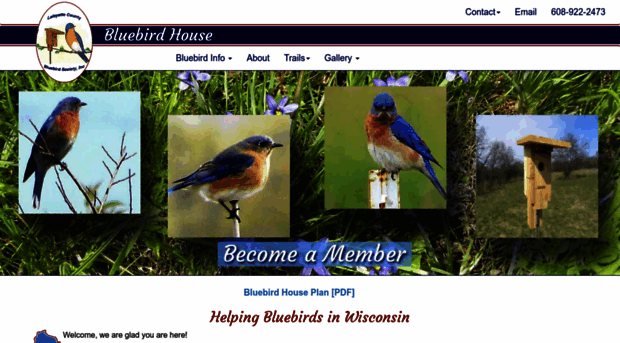 bluebirdhouse.org