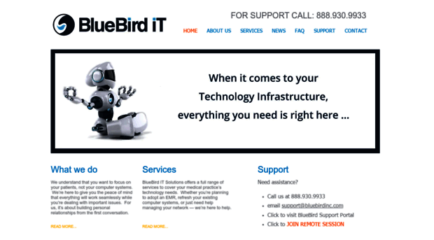 bluebirdinc.com