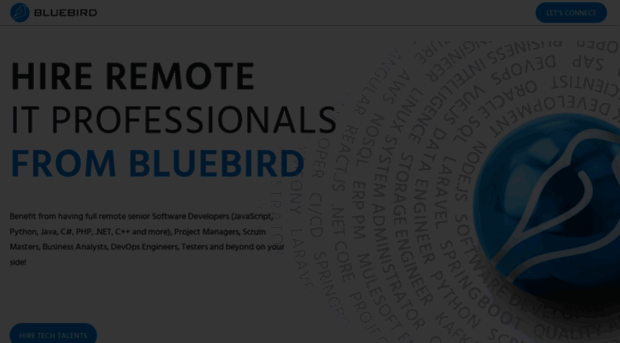 bluebirdinternational.com