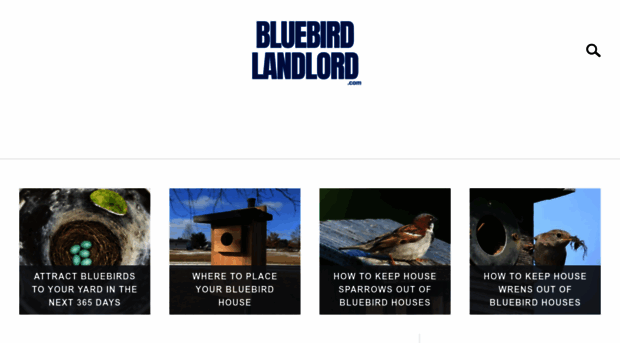 bluebirdlandlord.com