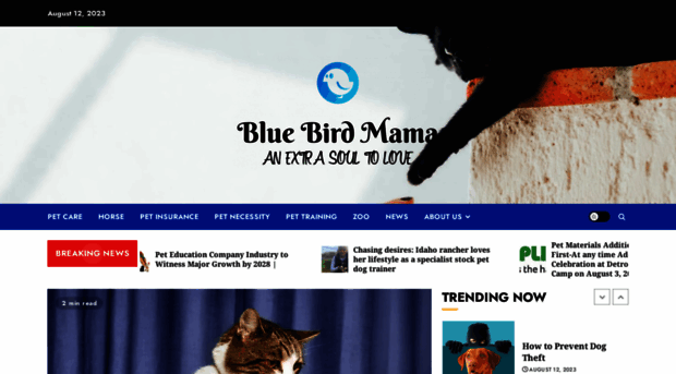 bluebirdmama.com