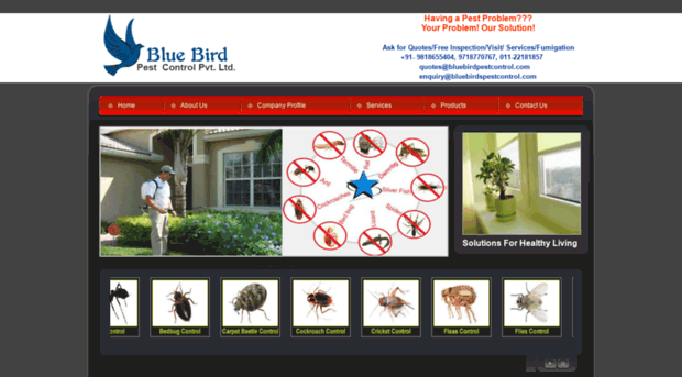 bluebirdpestcontrol.com