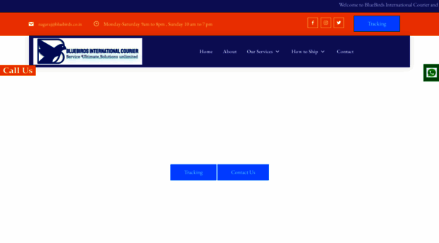 bluebirdsinternational.in