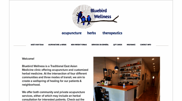 bluebirdwell.com