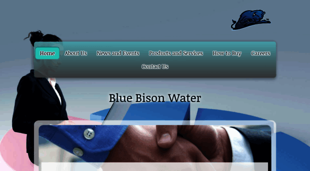 bluebisonwater.com