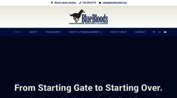 bluebloodstb.org