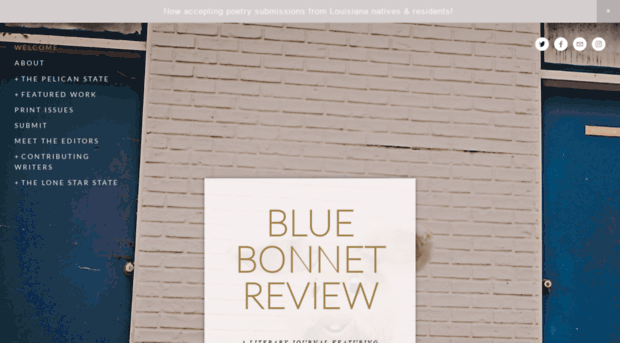 bluebonnetreview.com