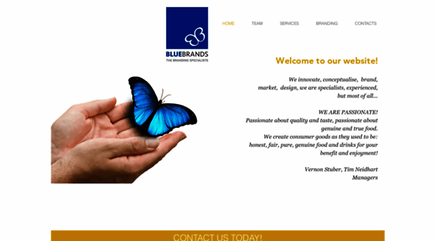 bluebrands.com
