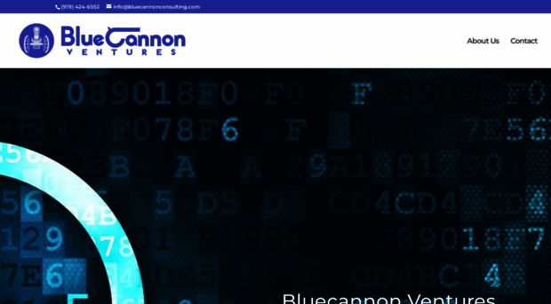 bluecannonconsulting.com