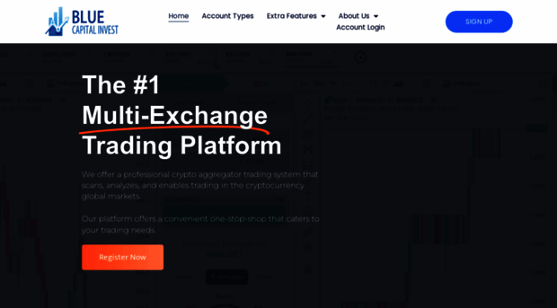 bluecapitalinvest.com