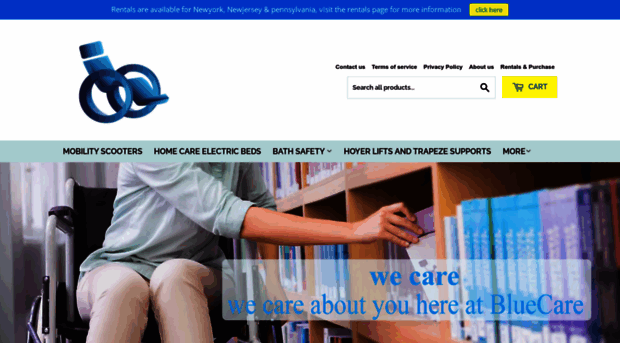 bluecarems.com