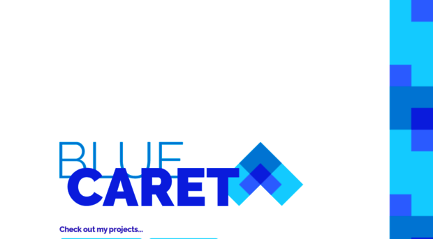 bluecaret.com