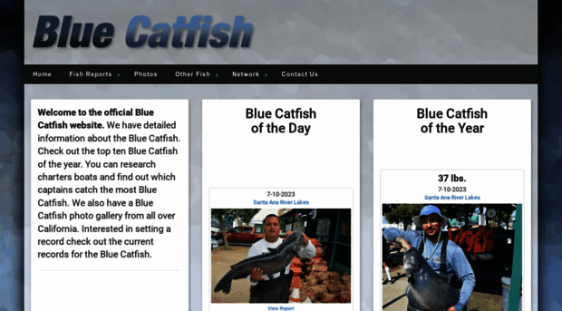 bluecatfish.net