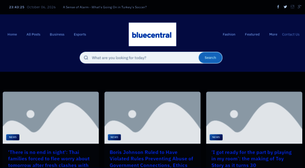 bluecentralgroup.nl