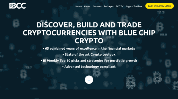 bluechip-crypto.com