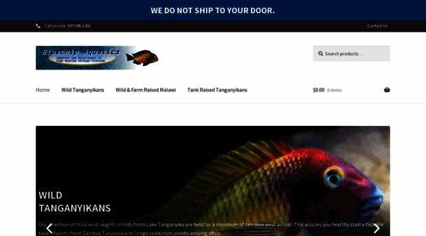 bluechipaquaticsonline.com