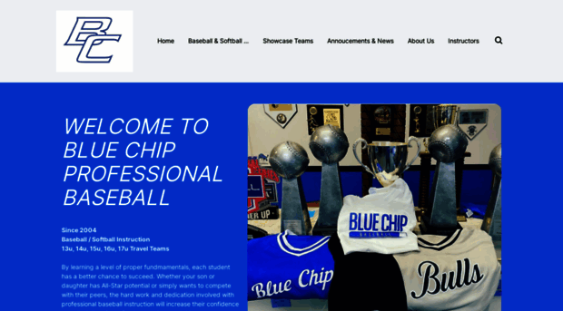 bluechipbaseball.net