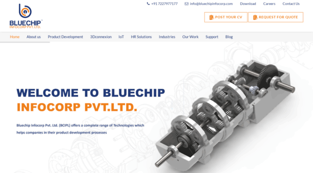 bluechipinfocorp.com