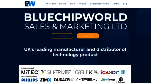 bluechipworld.biz