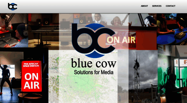 bluecow.co.za