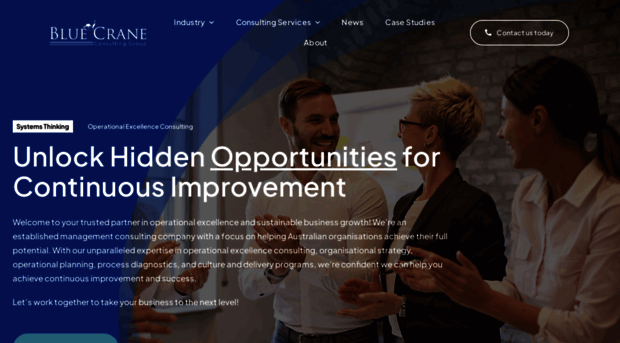 bluecrane.com.au