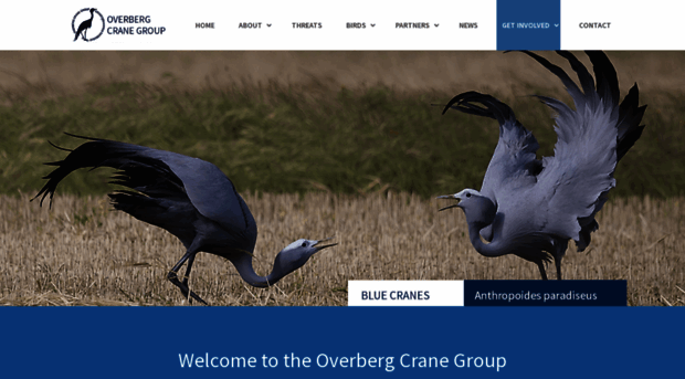 bluecrane.org.za