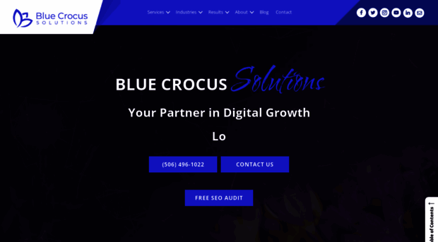 bluecrocus.ca