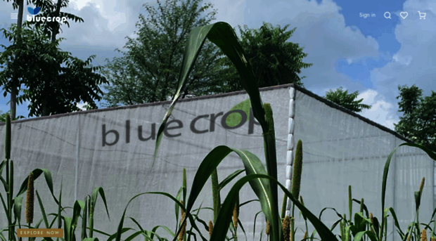 bluecrop.in