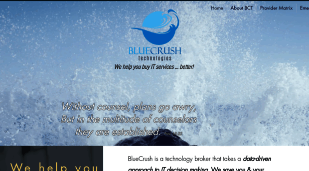 bluecrushtech.com