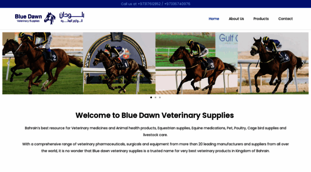 bluedawnvet.com