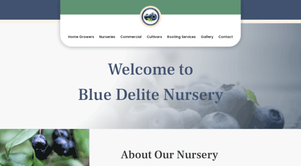 bluedelitenursery.co.za