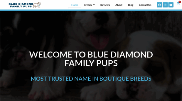bluediamondfamilypups.com