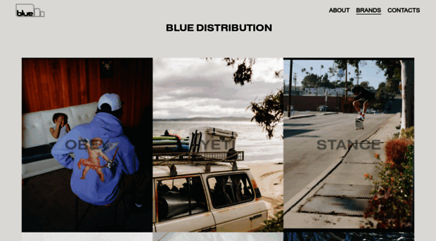 bluedistribution.com