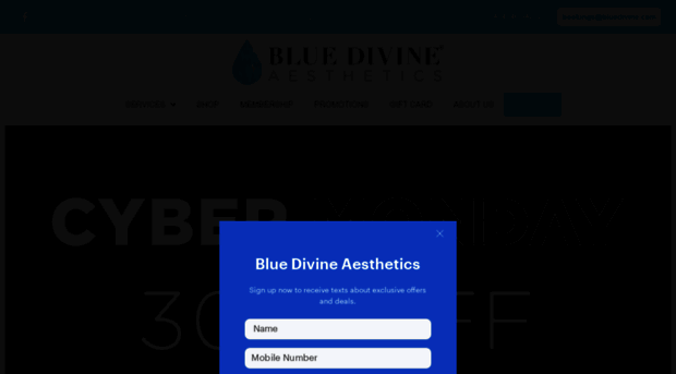 bluedivine.com